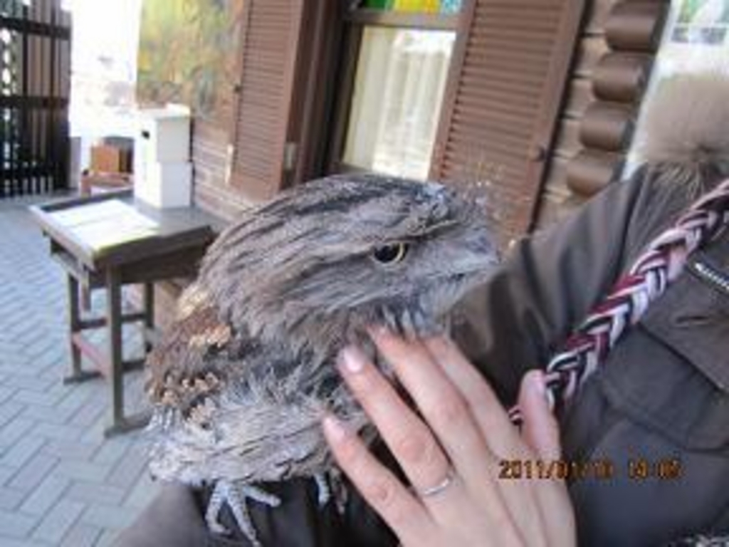 キャンベルタウン野鳥の森 アクセス 営業時間 料金情報 じゃらんnet