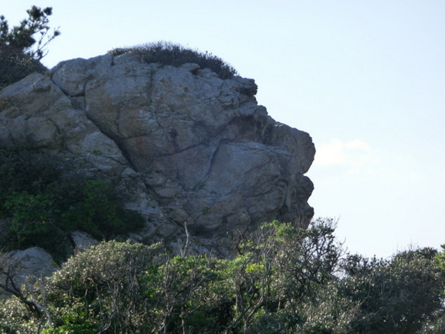 ܂񁙂񂳂̎˖ʗV̓eʐ^1