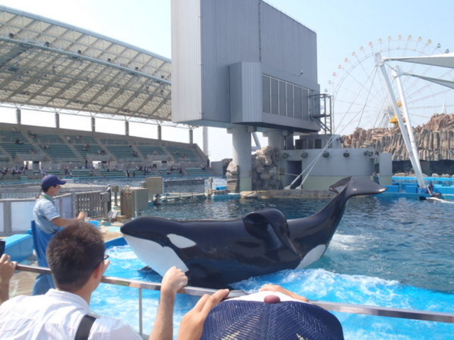 ���É��`������