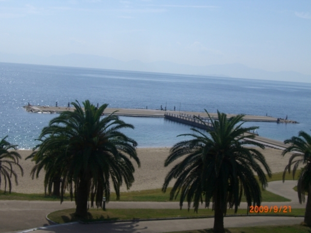 ���܂�񁙂���񂳂�̕ГY���l�C�l�����̓��e�ʐ^1