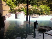 ܂񁙂񂳂̗Rz@̓eʐ^1