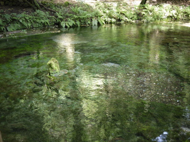 �r�R����