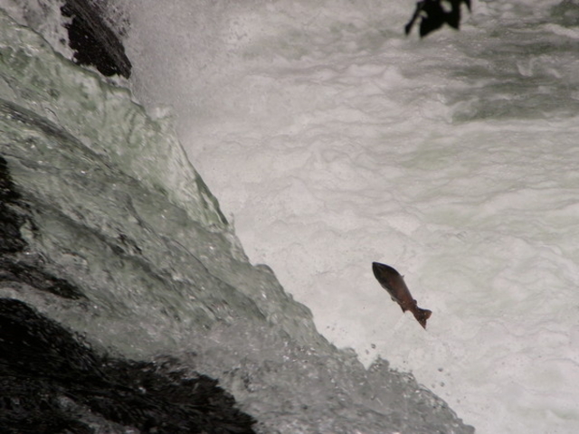 ������̑�