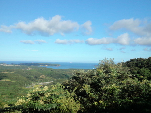 �p�[�����[�h