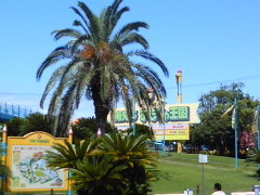 ꂢ̓mr[`h&mቤւ̓eʐ^1