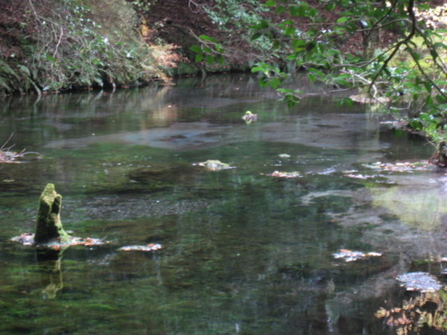 �r�R����