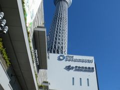 manekî݂قւ̓eʐ^1