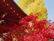 l̒~̃Z_om{_CW̓eʐ^1