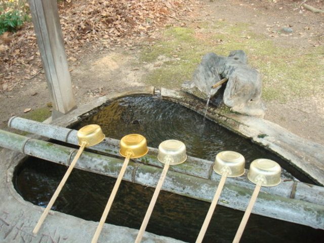 �O���_��