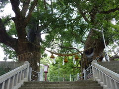 萩男さんの山王神社二の鳥居（一本柱鳥居）の投稿写真1