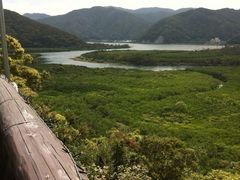 Ȃ̃}O[uJk[c[Oւ̓eʐ^1