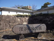 �ӂ��҂񂳂�̐[�J�隬�����̓��e�ʐ^1