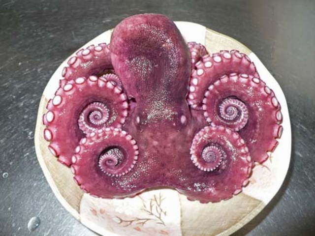 �����Y�{�X �l�Ă��o�[�x�L���[