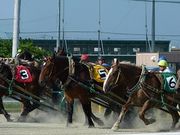 suilovêƂނ̓eʐ^1