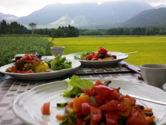 [̃I[KjbNELb`be@RH䂤ǂ̓eʐ^1