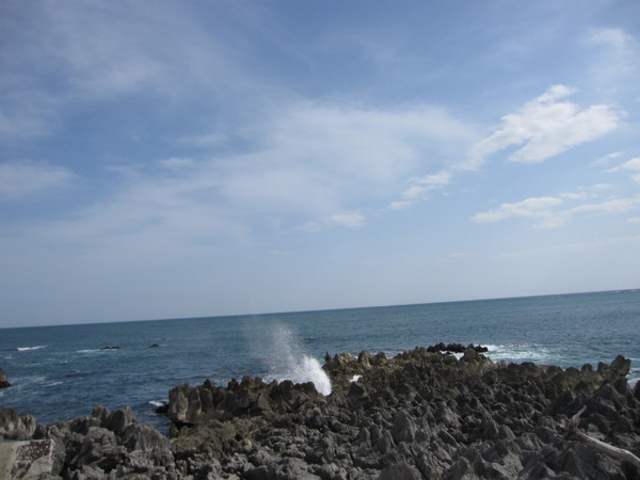 񂳂̊ΊD≻΂̓eʐ^1