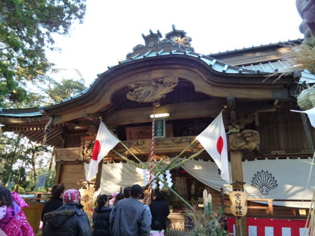 �����_��