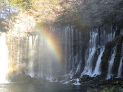 mayuさんの白糸の滝（静岡県富士宮市）の投稿写真1