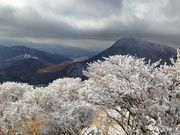 񂳂̕ʕ{[vEFC̓eʐ^1