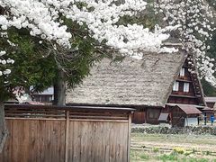 かとけん熊本さんの世界遺産白川郷合掌造り集落のクチコミ 世界遺産白川郷合掌造り集落の口コミ じゃらんnet