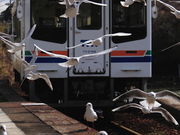 ^J񂳂̕l΍vĉw@`肩ߕw`̓eʐ^1