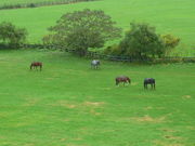 Ken񁗉Y͂̓̉w Tubh[hV̓eʐ^1