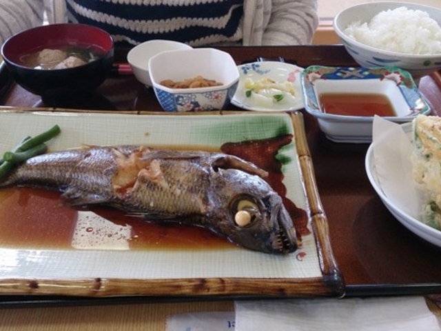 �������ȋ�y��