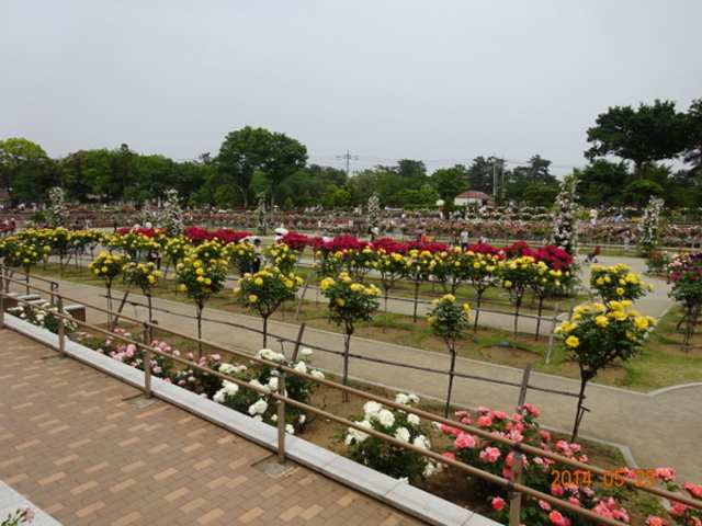 �~�������΂牀