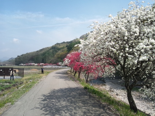 ݂Ԃ̓R̃V_ni̓eʐ^1