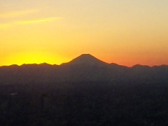 TVC60W] Ăڂp[N̎ʐ^1