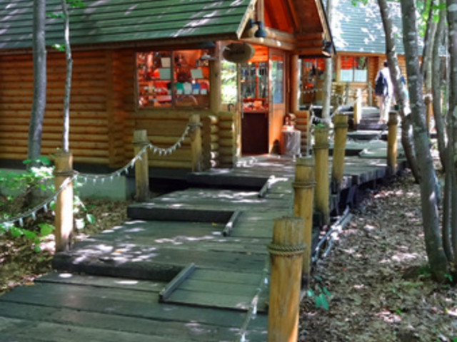 �V���b�s���O���[�h�u�j���O���e���X�v