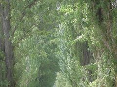 sato̖k|v؂ւ̓eʐ^1