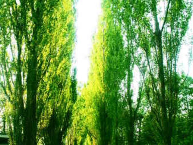 �k��C�`���E����