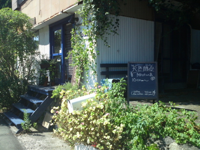 masaboñp̓X@LE@GRAND@BLEU̓eʐ^1