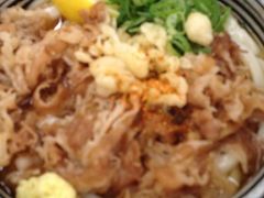 �ˏ� �ȒJ�̎ʐ^1