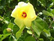 masaboñn}{Eт̓eʐ^1