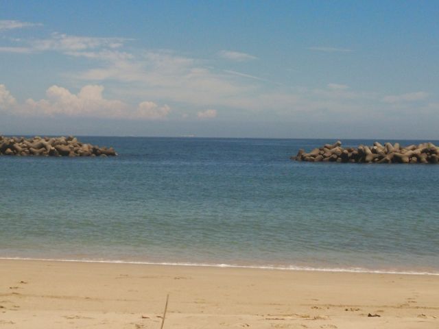 �Y��`�ł��B_�璹�P�l�C������