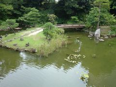 pinocchiȍq뉀ւ̓eʐ^1