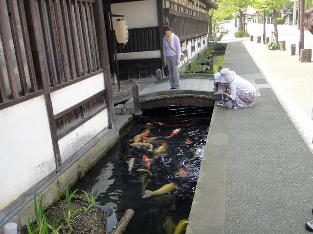 お堀に鯉_殿町通り