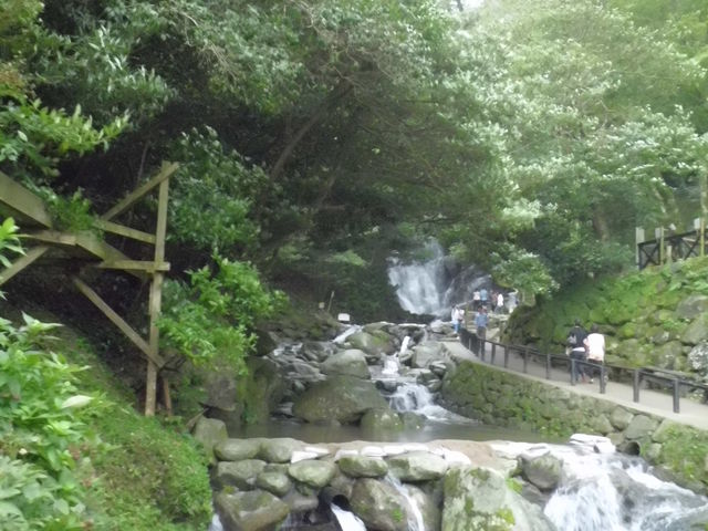 �����̑�