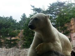 ؎RtWTL̓mis؎Rj̎ʐ^2