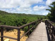 ɂ肳̌cp̃qMт̓eʐ^2