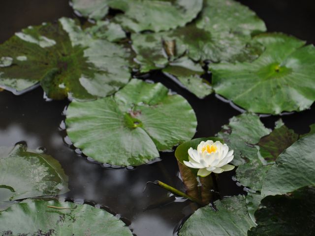 ���@�B���͏��Ȃ߁B_���C��