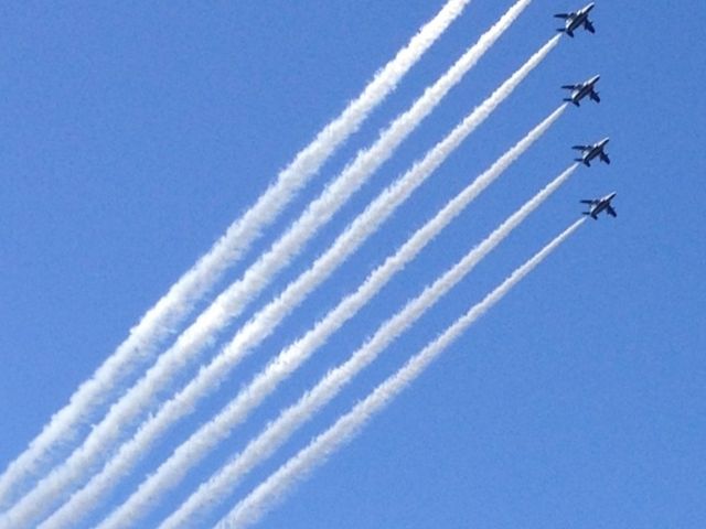 ���̓��͍q��V���[������܂����B�u���[�C���p���X�������������Ĕ��ł܂����B_�S����������