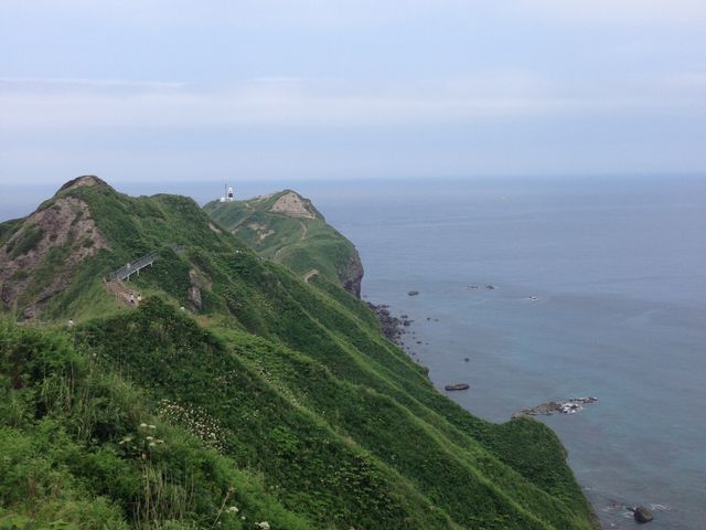 ���ЂƂ̓V�C�Ƀu���[_�_�Ж�