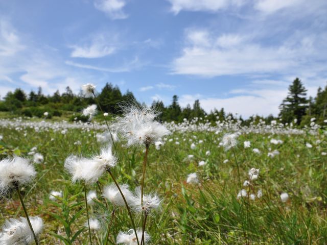 ���^�X�Q���a�r_�u�ꍂ��