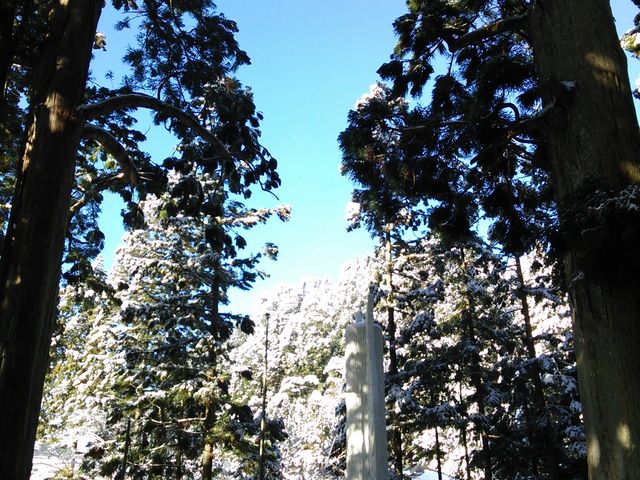 ���������̉@_���V�@