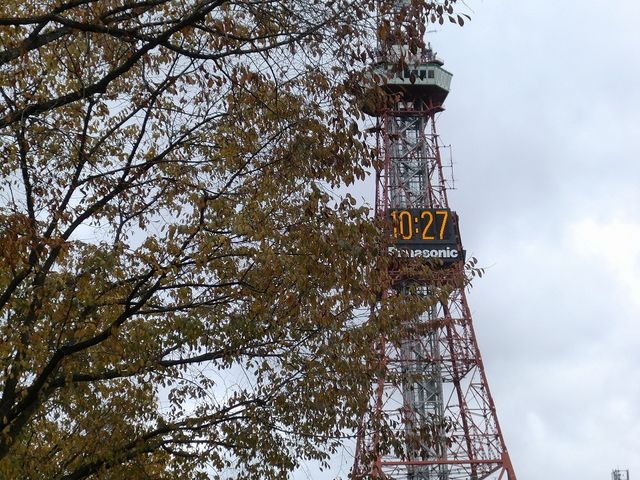 ���i_�����ۂ�e���r��