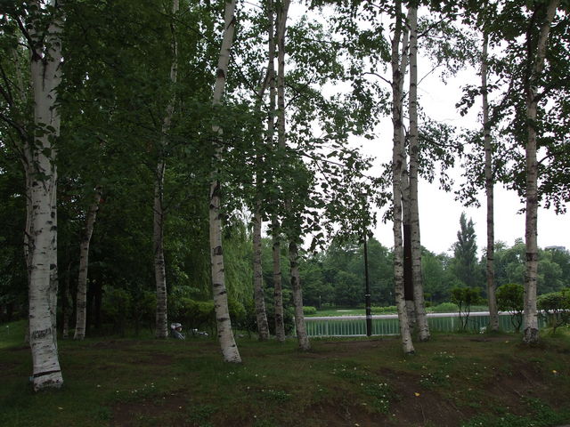 ������_��������