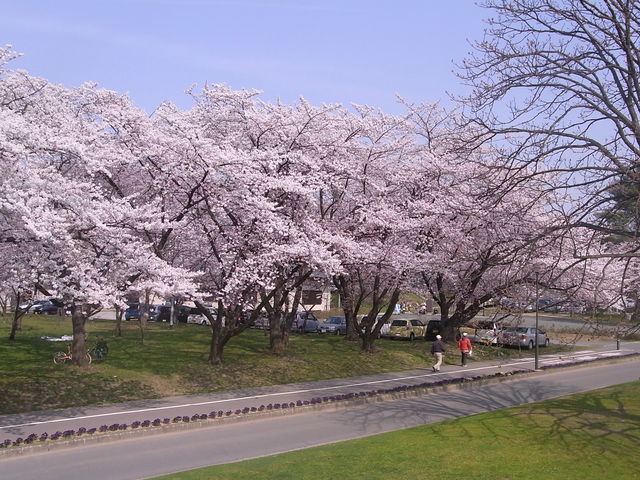 �싅�ꉡ�ʂ艈��_�������